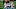 Chicago Bears, Andy Dalton Chicago Bears, Andy Dalton