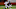 Chicago Bears, Jaylon Johnson