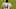 Chicago Bears, Ryan Fitzpatrick