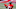 Chicago Bears, Julio Jones Chicago Bears, Julio Jones