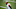 Chicago Bears, Odell Beckham Jr. Chicago Bears, Odell Beckham Jr.