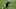 Chicago Bears, Tre’quan Smith Chicago Bears, Tre’quan Smith
