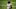Chicago Bears, Kyle Fuller Chicago Bears, Kyle Fuller