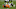 Chicago Bears, Nick Foles Chicago Bears, Nick Foles