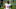 Chicago Bears, David Montgomery Chicago Bears, David Montgomery