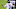 Chicago Bears, Russell Wilson Chicago Bears, Russell Wilson