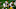 Chicago Bears, Morgan Moses Chicago Bears, Morgan Moses