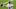 Chicago Bears, Matt Ryan Chicago Bears, Matt Ryan