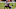Chicago Bears, David Montgomery Chicago Bears, David Montgomery
