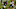 Khalil Mack, Chicago Bears Khalil Mack, Chicago Bears