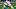 Chicago Bears, Tua Tagovailoa Chicago Bears, Tua Tagovailoa