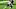 Chicago Bears, Kyle Fuller Chicago Bears, Kyle Fuller