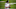 Chicago Bears, Nick Foles Chicago Bears, Nick Foles