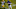 Chicago Bears, Cordarrelle Patterson Chicago Bears, Cordarrelle Patterson