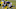 Chicago Bears, David Montgomery Chicago Bears, David Montgomery