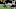 Chicago Bears, NFL Draft Chicago Bears, NFL Draft