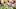 Chicago Bears, Justin Fields Chicago Bears, Justin Fields