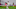 Chicago Bears, Justin Fields Chicago Bears, Justin Fields
