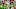 Chicago Bears, Justin Fields Chicago Bears, Justin Fields