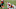 Chicago Bears, Kellen Mond Chicago Bears, Kellen Mond