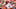 Chicago Bears, Joe Burrow Chicago Bears, Joe Burrow