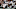 Chicago Bears, Danny Trevathan Chicago Bears, Danny Trevathan