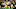 Chicago Bears, Justin Fields Chicago Bears, Justin Fields