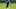 Chicago Bears, DK Metcalf Chicago Bears, DK Metcalf