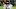 Chicago Bears, Justin Fields Chicago Bears, Justin Fields