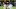 Chicago Bears, Justin Fields Chicago Bears, Justin Fields