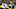 Chicago Bears, Robert Quinn Chicago Bears, Robert Quinn