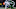 Chicago Bears, DJ Chark Chicago Bears, DJ Chark