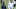 Chicago Bears, Ozzie Newsome Chicago Bears, Ozzie Newsome