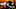Chicago Bears Chicago Bears