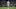 Chicago Bears, Dak Prescott Chicago Bears, Dak Prescott