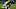 GREENBAY, WI – OCTOBER 20: Running back Jordan Howard #24 of the Chicago Bears is tackled by nose tackle Kenny Clark #97 and cornerback Demetri Goodson #39 of the Green Bay Packers in the second quarter at Lambeau Field on October 20, 2016 in Green Bay, Wisconsin. (Photo by Dylan Buell/Getty Images) GREENBAY, WI – OCTOBER 20: Running back Jordan Howard #24 of the Chicago Bears is tackled by nose tackle Kenny Clark #97 and cornerback Demetri Goodson #39 of the Green Bay Packers in the second quarter at Lambeau Field on October 20, 2016 in Green Bay, Wisconsin. (Photo by Dylan Buell/Getty Images)
