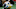 Chicago Bears, Jaguars Chicago Bears, Jaguars