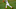 Chicago Bears, Julio Jones Chicago Bears, Julio Jones