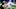 Chicago Bears, Dak Prescott Chicago Bears, Dak Prescott