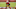 Chicago Bears, Kwon Alexander Chicago Bears, Kwon Alexander