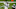 Chicago Bears, Teddy Bridgewater Chicago Bears, Teddy Bridgewater