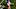 Chicago Bears, Kelvin Joseph Chicago Bears, Kelvin Joseph