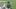 Chicago Bears, Denzel Mims Chicago Bears, Denzel Mims