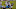 Chicago Bears, Adrian Peterson Chicago Bears, Adrian Peterson