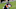 Chicago Bears, Tyler Eifert Chicago Bears, Tyler Eifert
