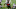 Chicago Bears, Leonard Fournette Chicago Bears, Leonard Fournette