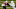 Chicago Bears, N'Keal Harry Chicago Bears, N'Keal Harry