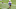 Chicago Bears, N'Keal Harry Chicago Bears, N'Keal Harry