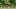 Chicago Bears, Justin Fields Chicago Bears, Justin Fields