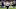 Chicago Bears, Jesper Horsted Chicago Bears, Jesper Horsted